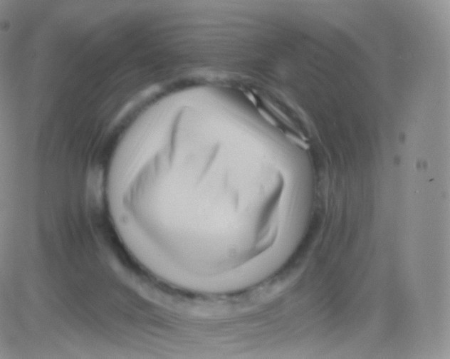 X0000083030024200702231916