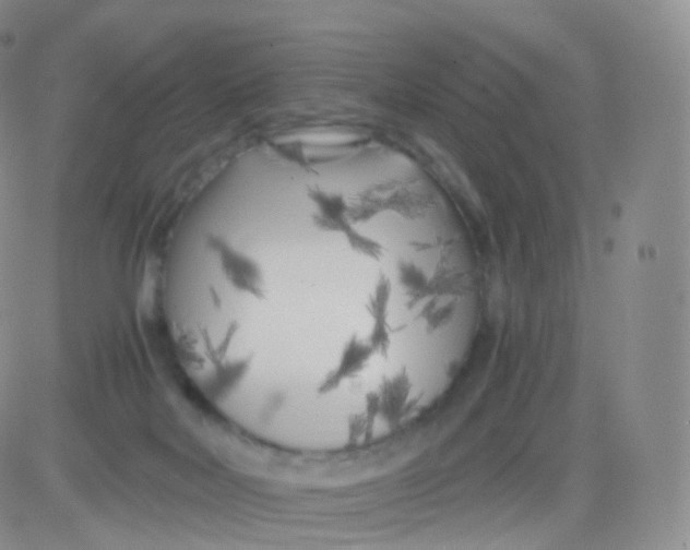 X0000083030026200702231915