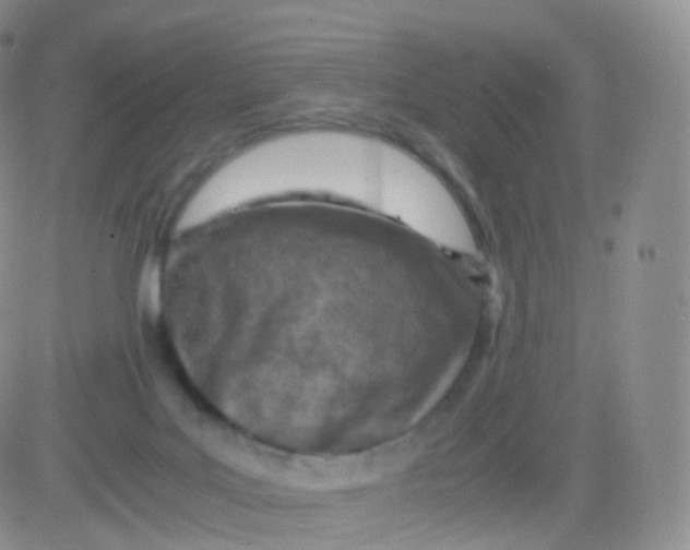 X0000083030027200702231915