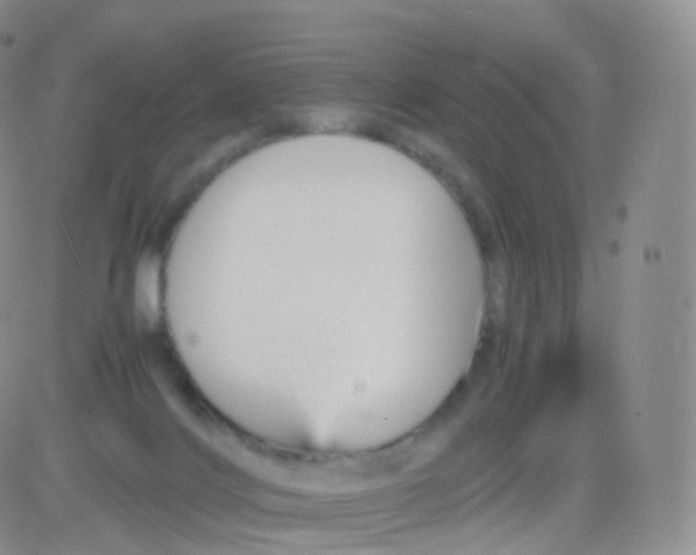 X0000083030028200702231915