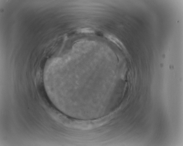 X0000083030029200702231915