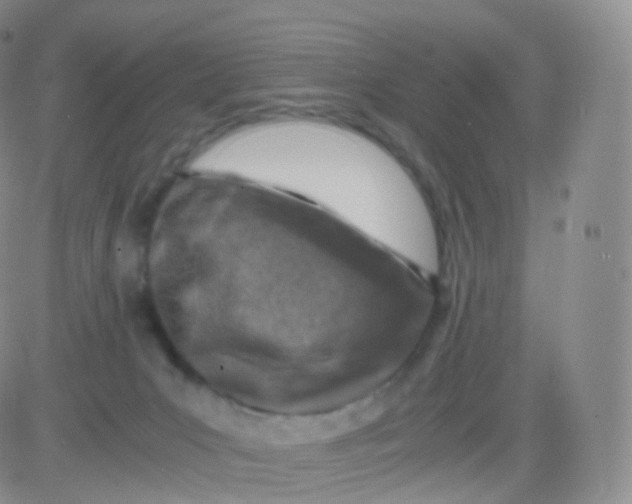 X0000083030031200702231915