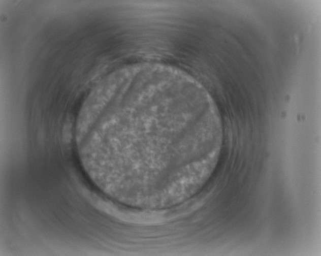 X0000083030032200702231915