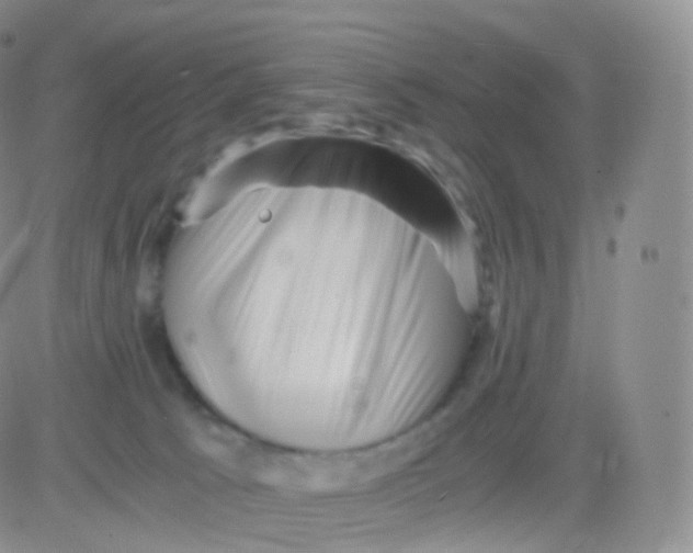 X0000083030033200702231915