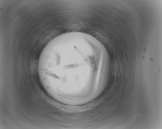 X0000083030034200702231915