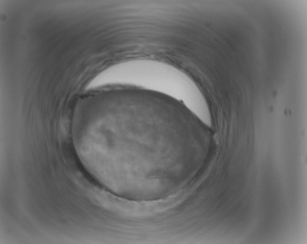 X0000083030035200702231915