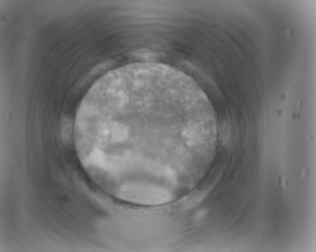 X0000083030036200702231915