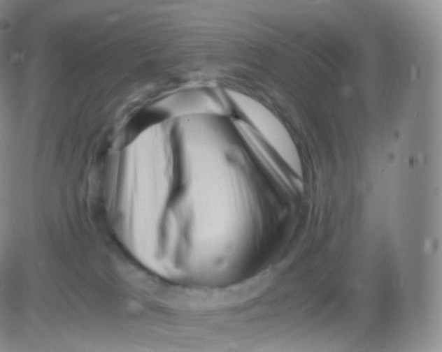 X0000083030037200702231915