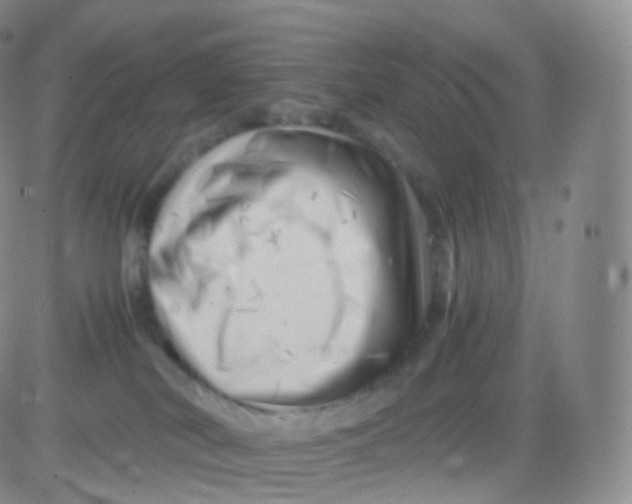 X0000083030038200702231915