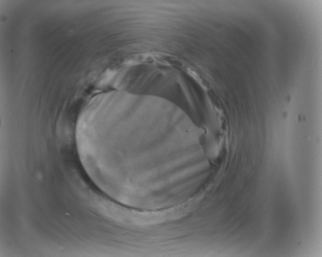 X0000083030039200702231915