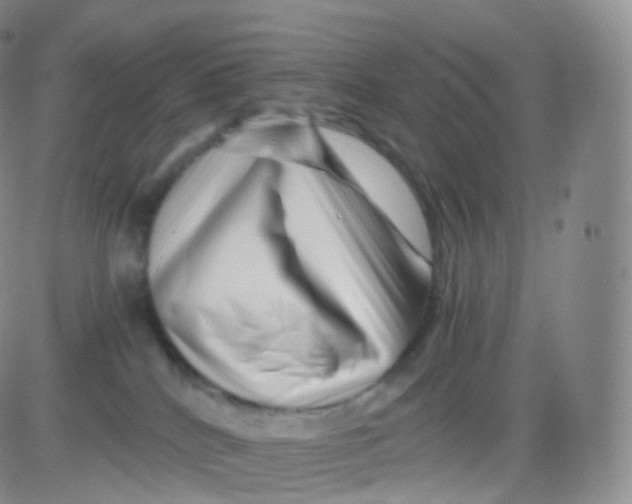 X0000083030040200702231915