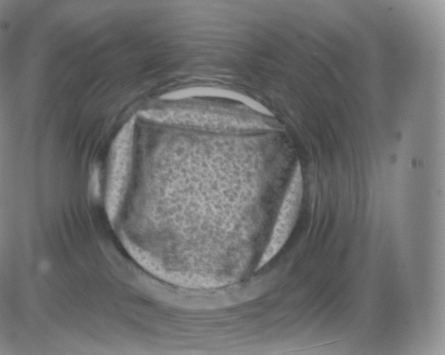 X0000083030042200702231915