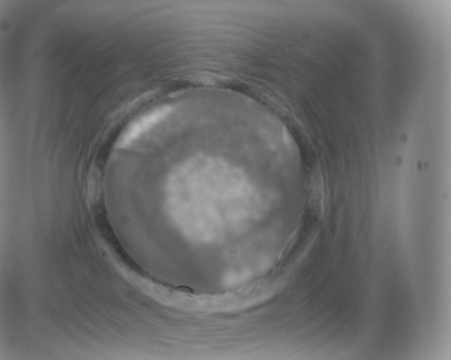 X0000083030043200702231915