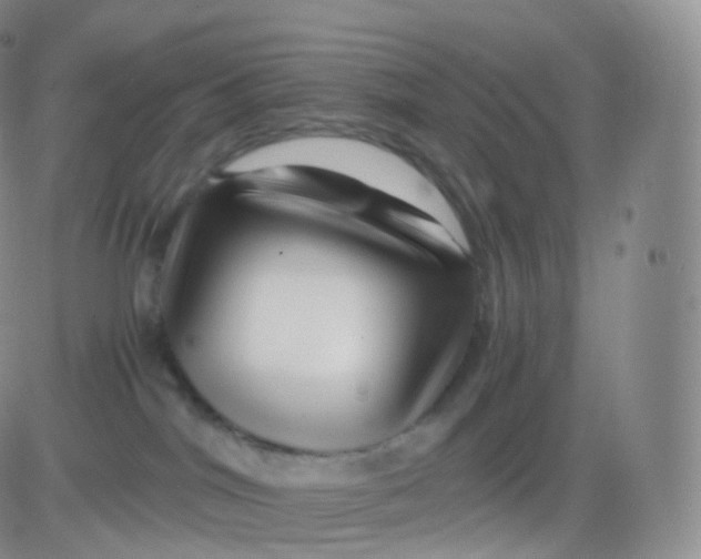 X0000083030044200702231915