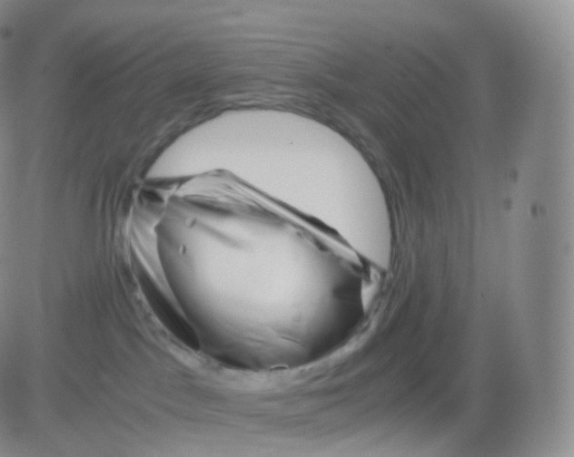 X0000083030045200702231915