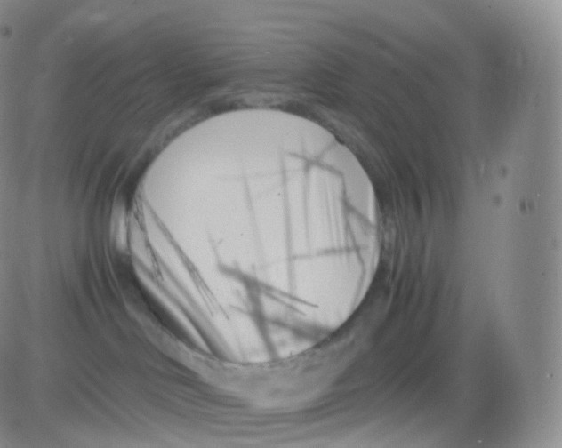 X0000083030046200702231915