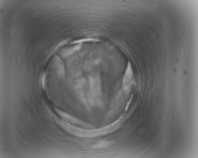 X0000083030047200702231915