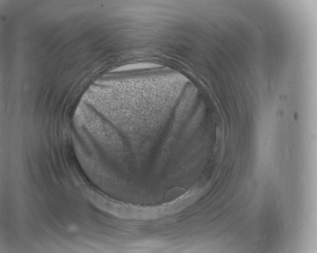 X0000083030048200702231915