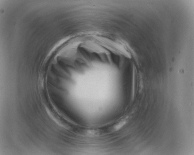 X0000083030060200702231915