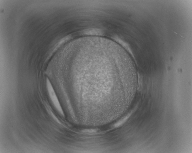 X0000083030061200702231915