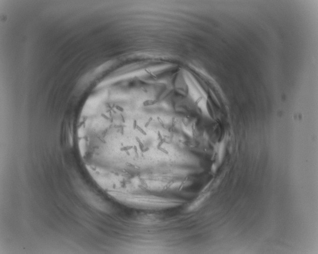 X0000083030062200702231915