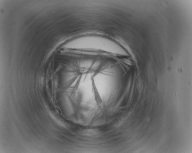 X0000083030063200702231915