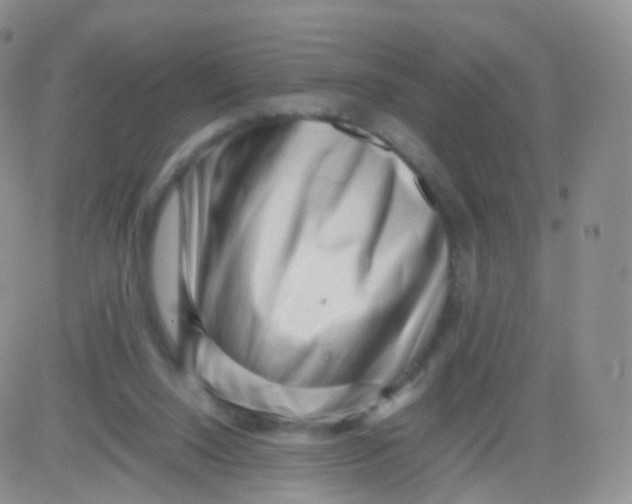 X0000083030064200702231915