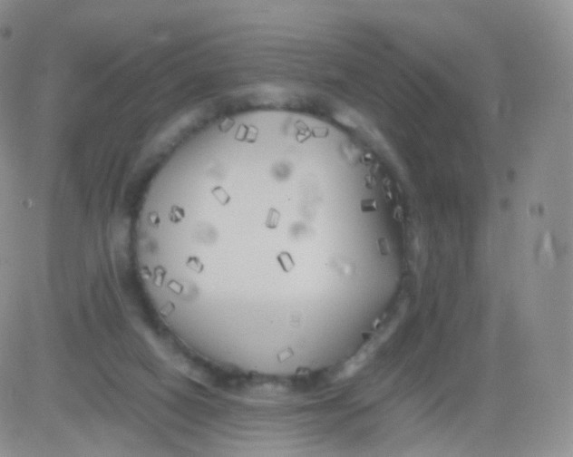 X0000083030066200702231915