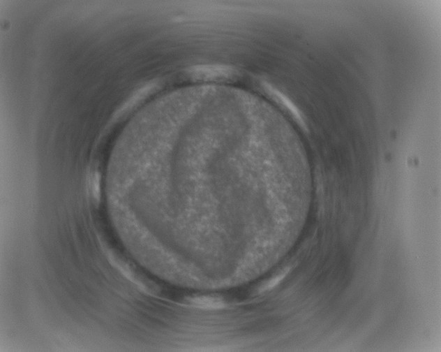 X0000083030067200702231915