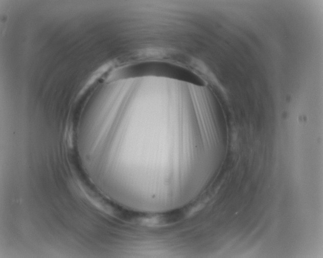 X0000083030068200702231915