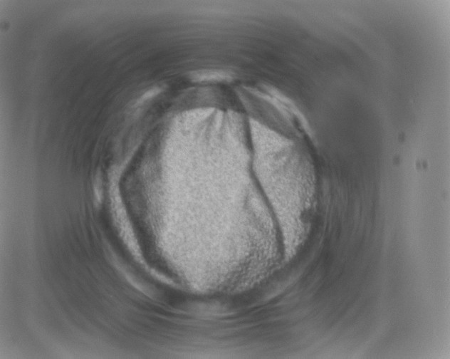 X0000083030069200702231915