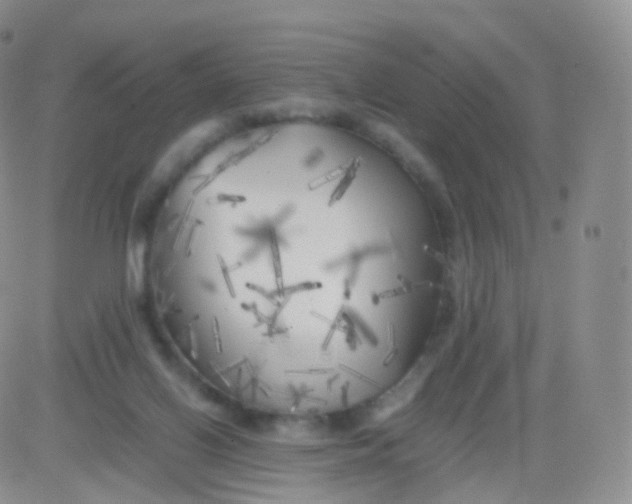 X0000083030070200702231915