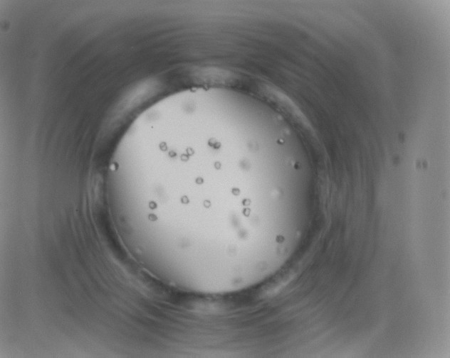 X0000083030071200702231915