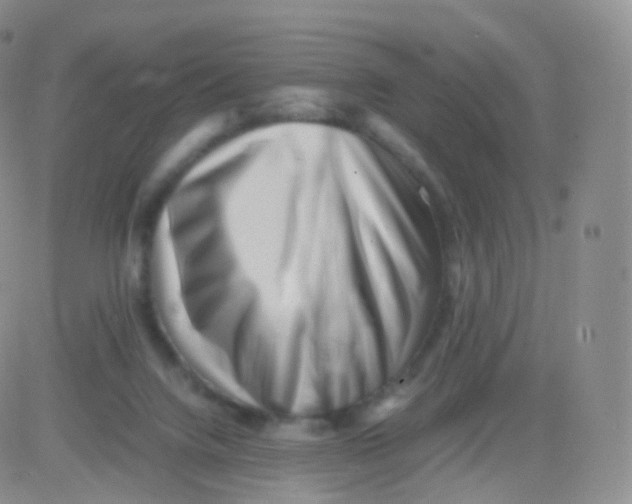 X0000083030072200702231915