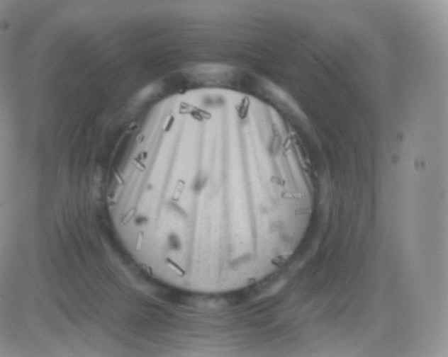 X0000083030073200702231915