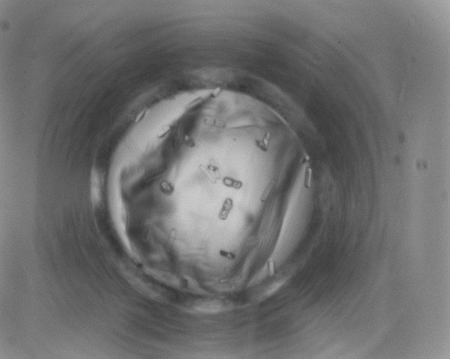 X0000083030075200702231915