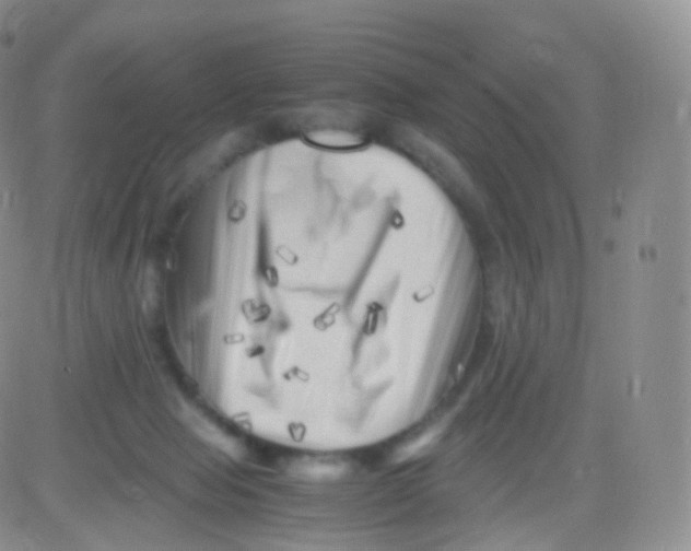 X0000083030077200702231915