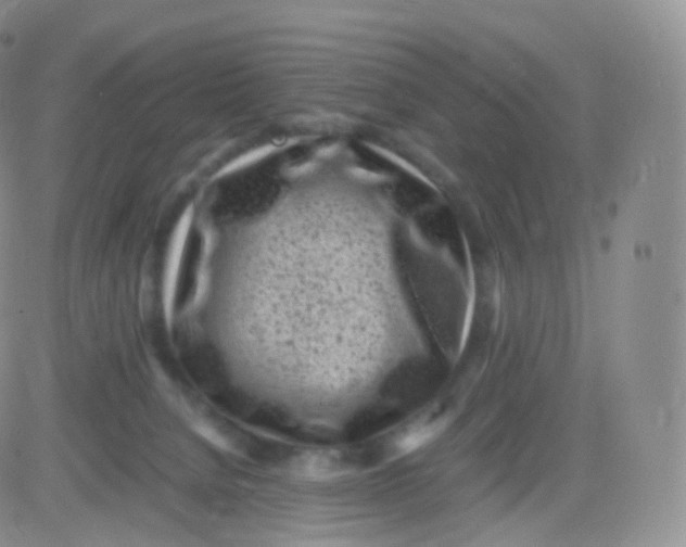 X0000083030080200702231915