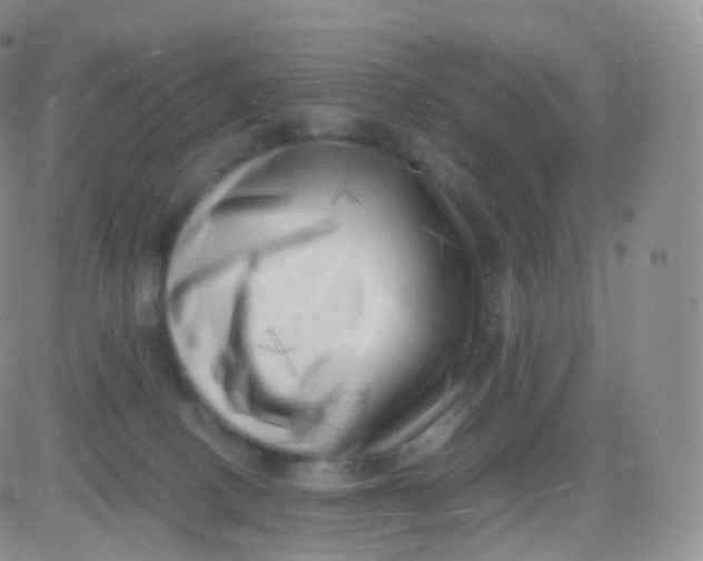 X0000083030082200702231915