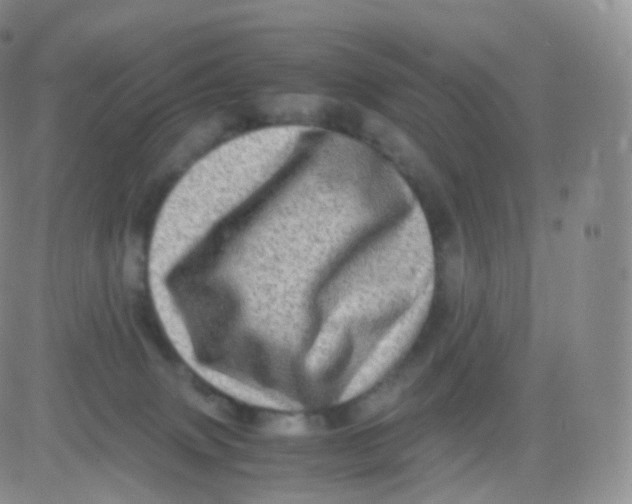 X0000083030083200702231915