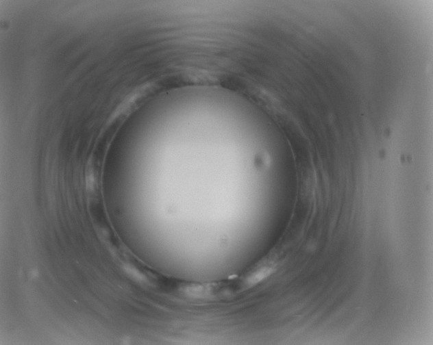 X0000083030084200702231915