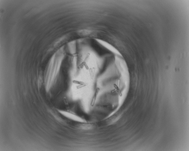 X0000083030085200702231915