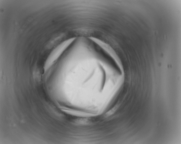 X0000083030086200702231915