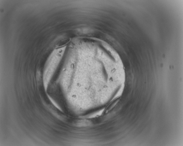 X0000083030087200702231915