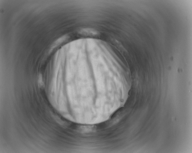 X0000083030089200702231915