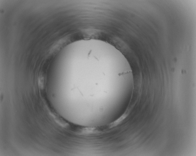 X0000083030090200702231915