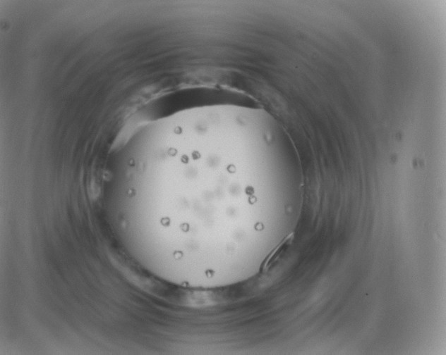 X0000083030091200702231915