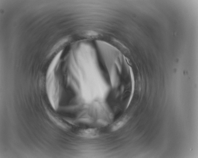 X0000083030092200702231915