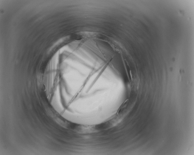 X0000083030093200702231915