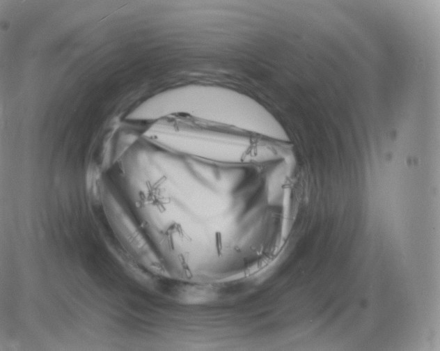 X0000083030094200702231915